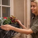 5-krasnych-rostlin-na-balkon-ktere-se-nemusi-zalevat-idealni.webp.webp