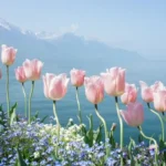 dovolena-dnes-21-kvetna-co-nedelat-lidova-znameni.webp.webp