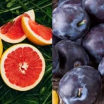 ovoce-a-bobuloviny-ktere-maji-nejvice-antioxidantu-pro-zdravi-top.webp.webp